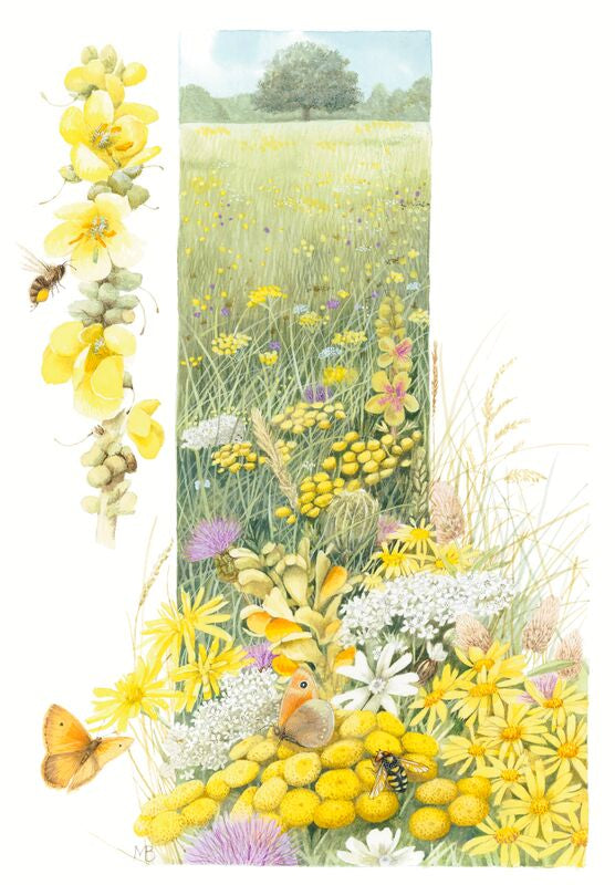 A Healthy Meadow by Marjolein Bastin