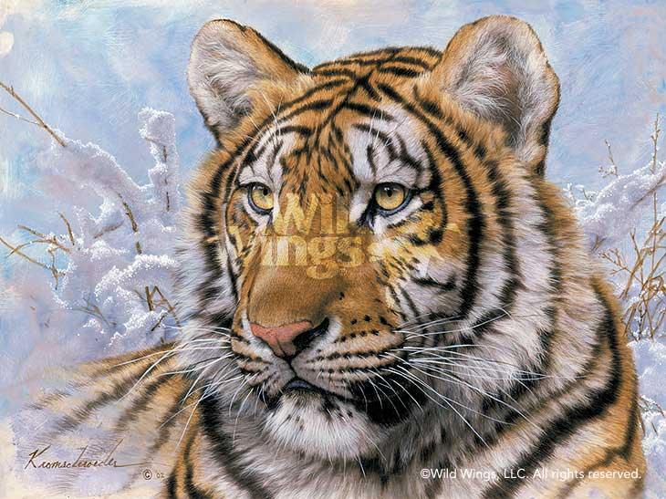 Spots & Stripes—Siberian Tiger