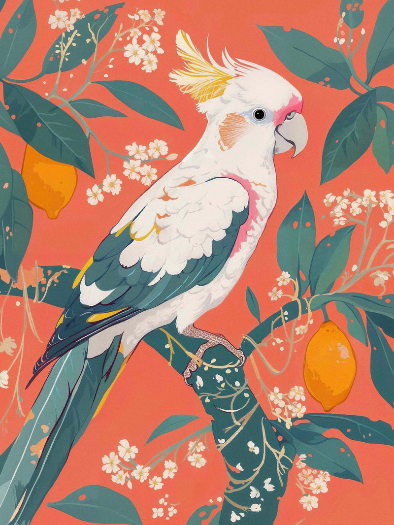 Lemon Grove Serenade - Cockatoo Amidst Citrus Blooms