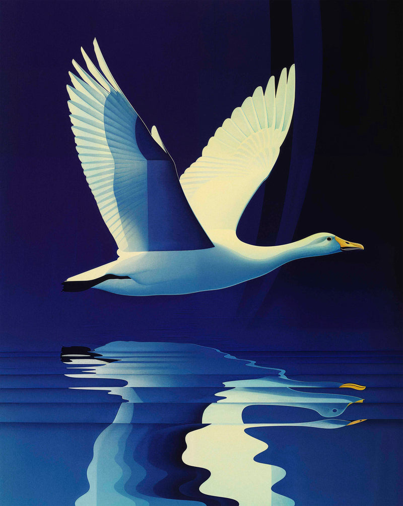 Reflections in Flight - Swan Over Tranquil Waters