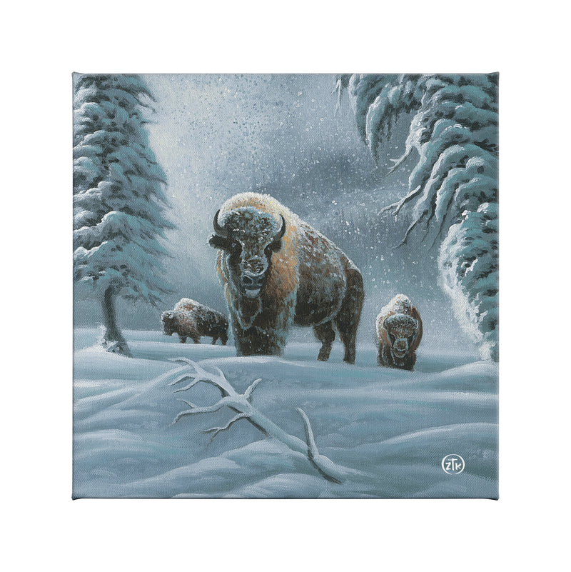 Bison in the Snow