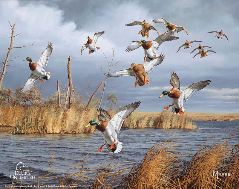Greenhead Alert