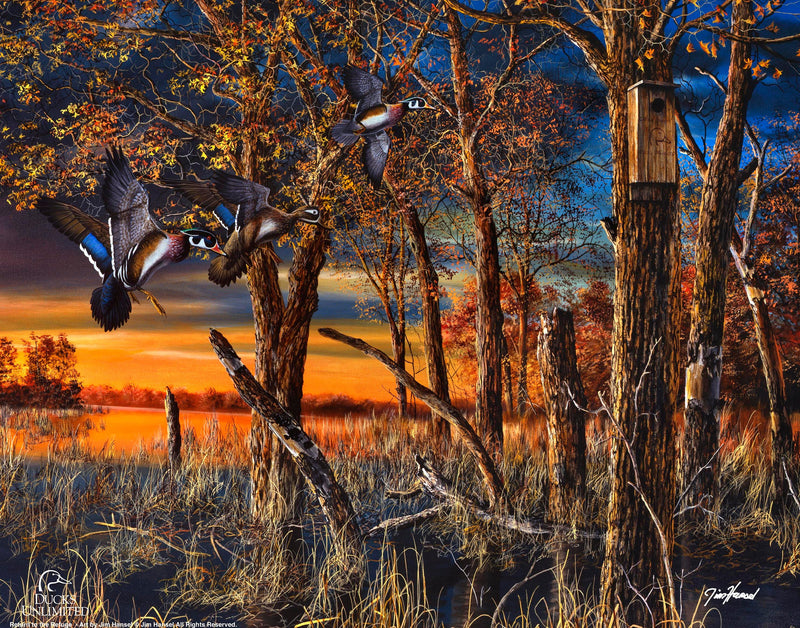 Return to the Refuge