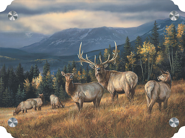 Autumn Gold - Elk