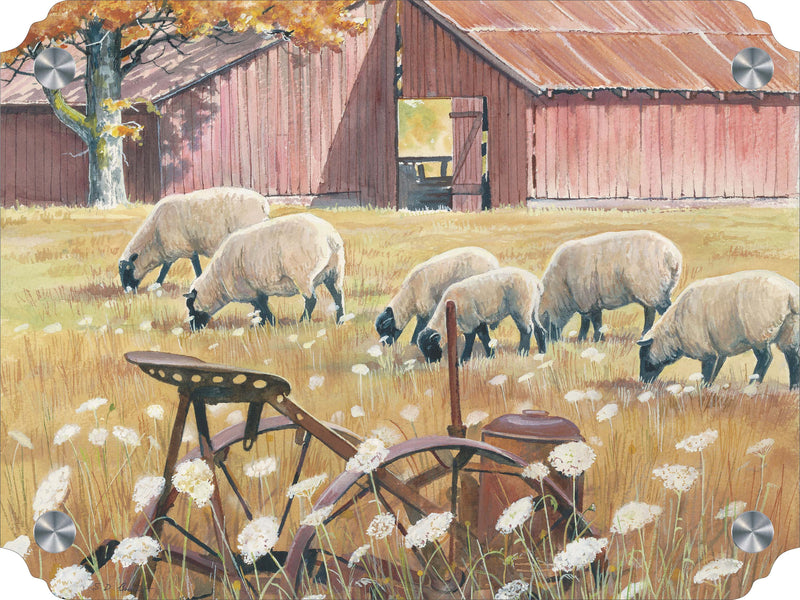Grazing Days - Sheep