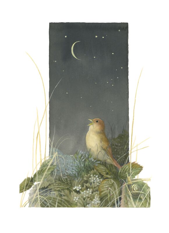 Song of the Nightingale