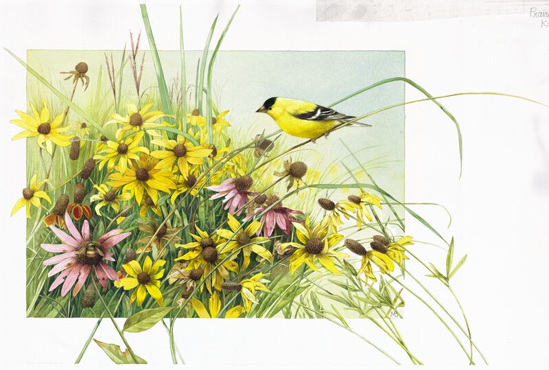 Meadow Paradise by Marjolein Bastin