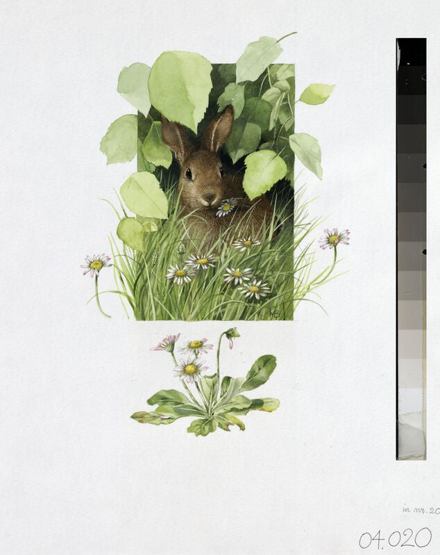 Cloaked in Green by Marjolein Bastin