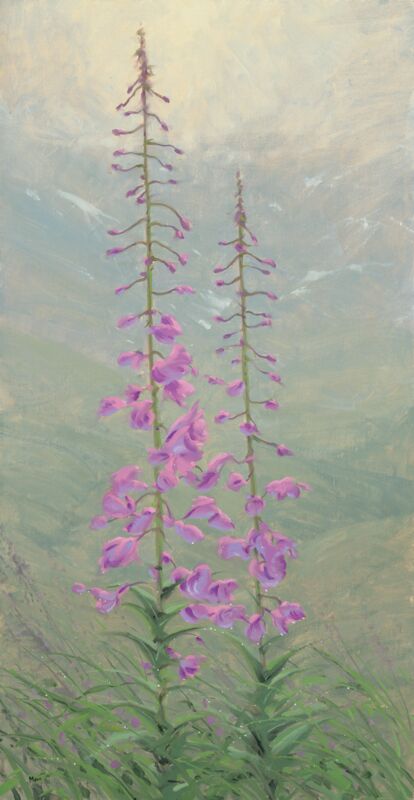 Alaskan Delphinium by Thomas Moen