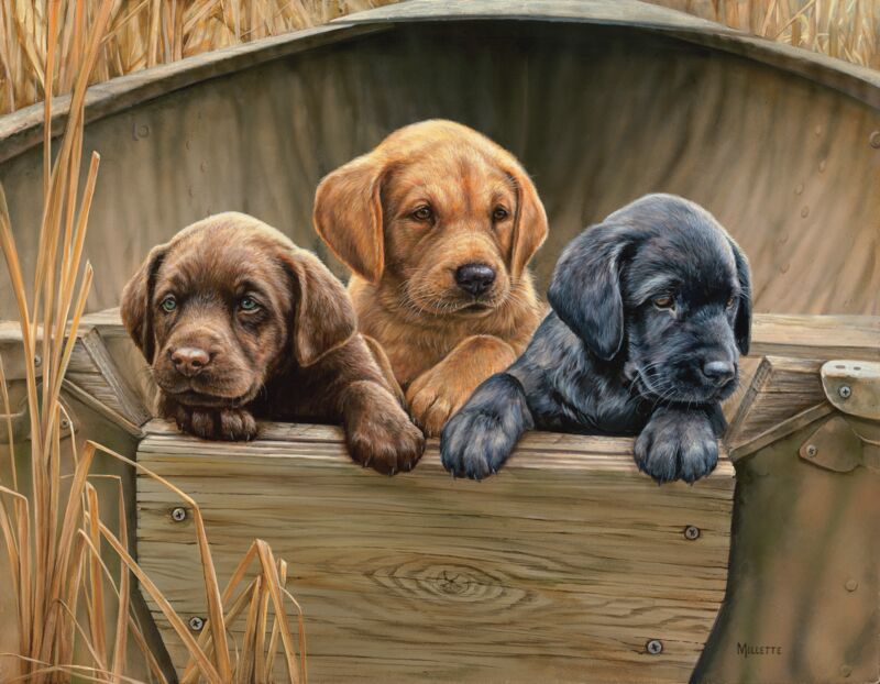 All Hands on Deck by Rosemary Millette