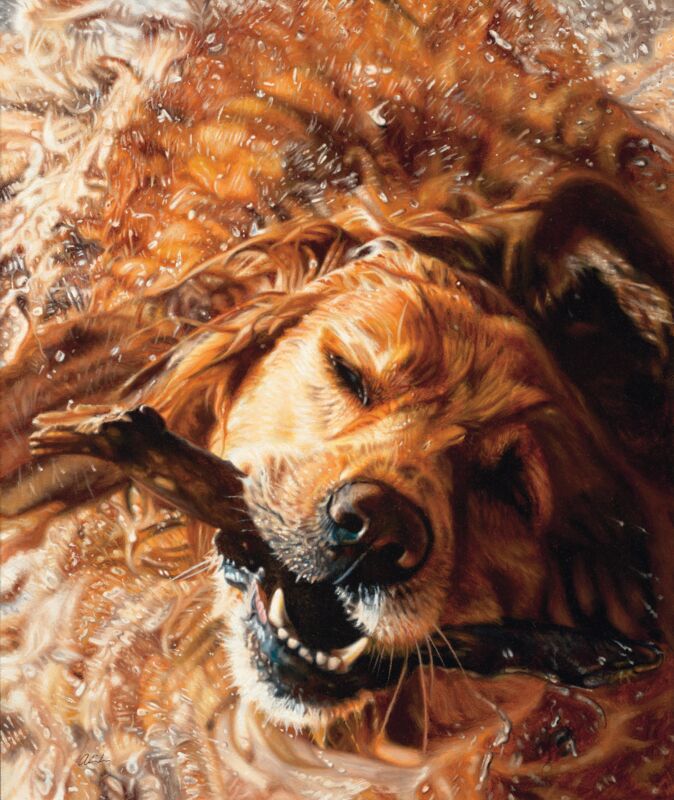 All Shook Up—Golden Retriever by John Aldrich