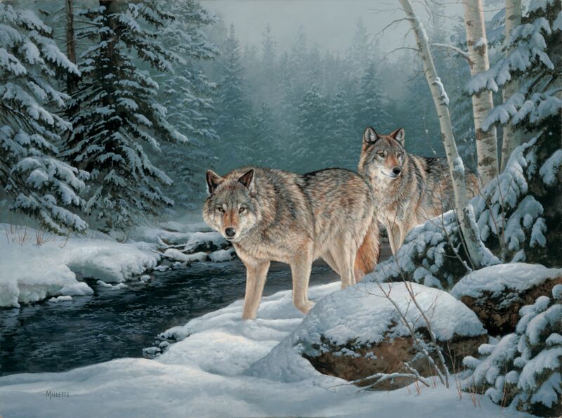Along the Creek—Wolves by Rosemary Millette