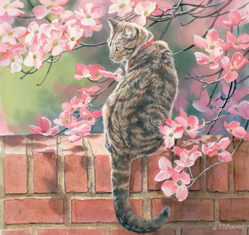 Annie on a Garden Wall—Cat by Susan Bourdet
