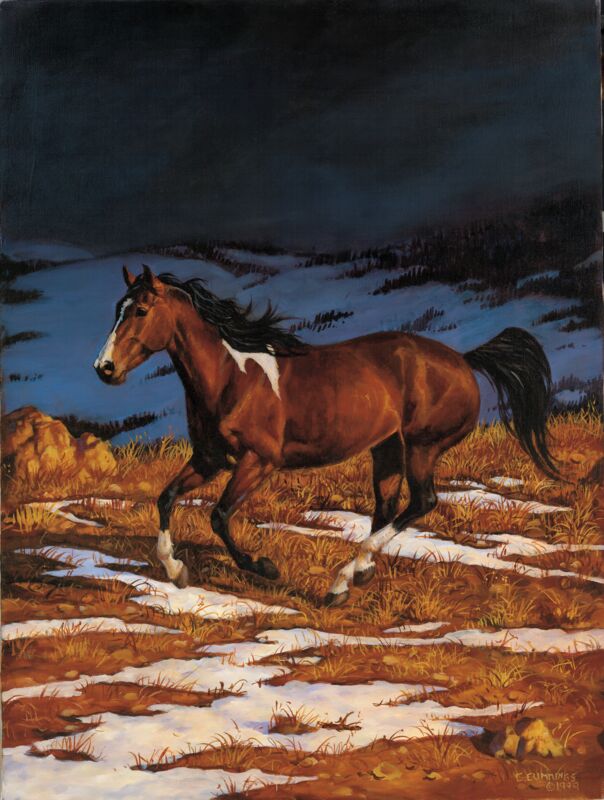 Approaching Storm - Front Runner by Chris Cummings