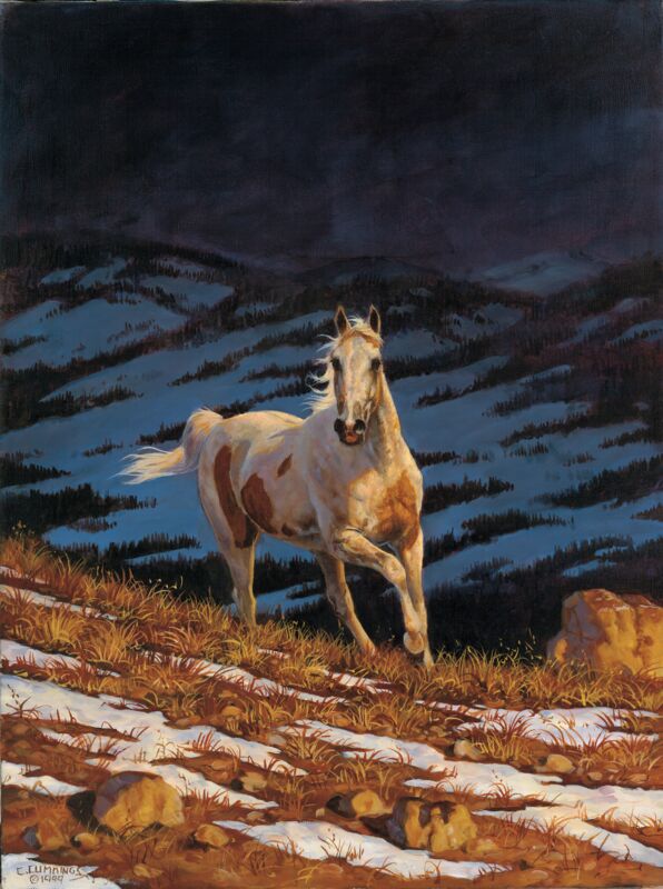 Approaching Storm - Stallion by Chris Cummings