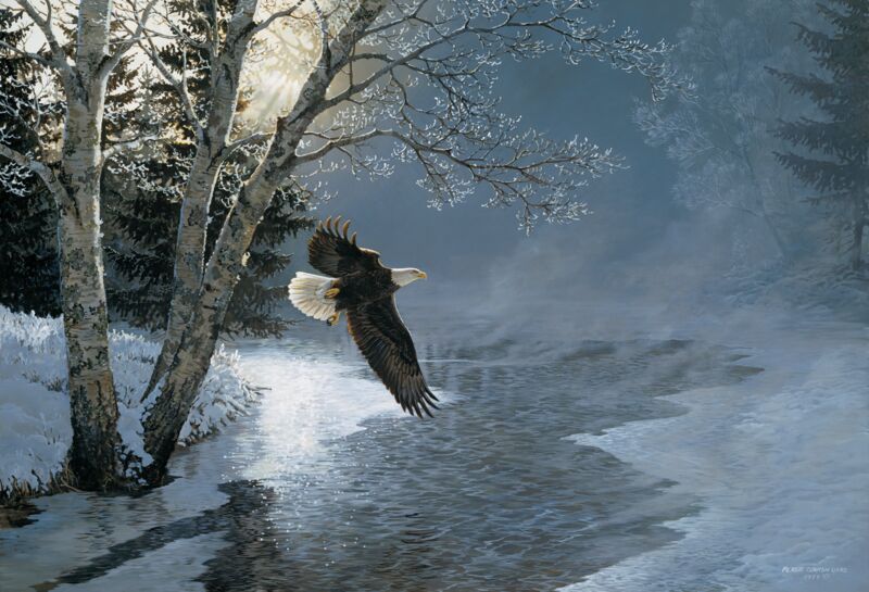 Awakening by Persis Clayton Weirs