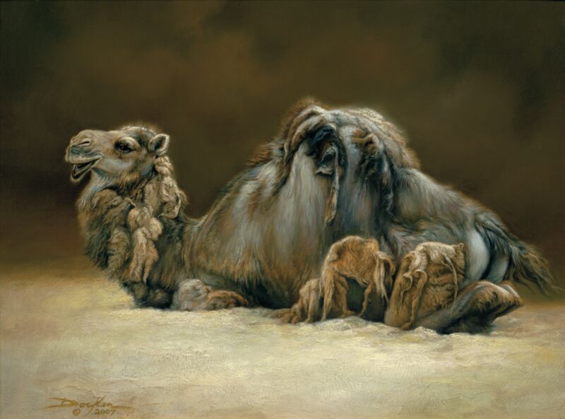 Bad Hair Day—Camel by Russ Docken