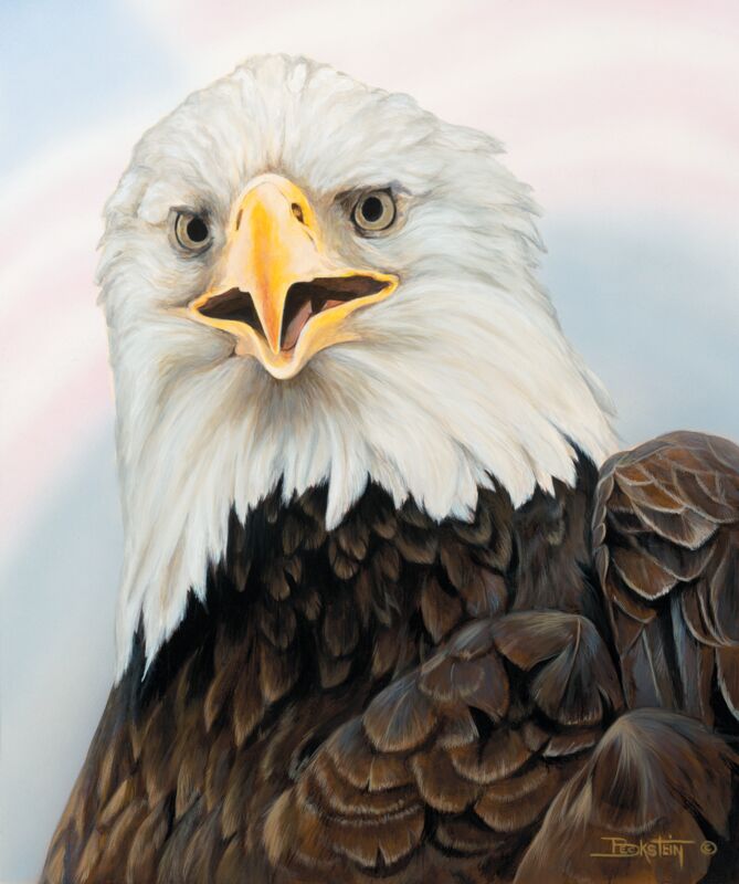 Bald Eagle by Larry Beckstein