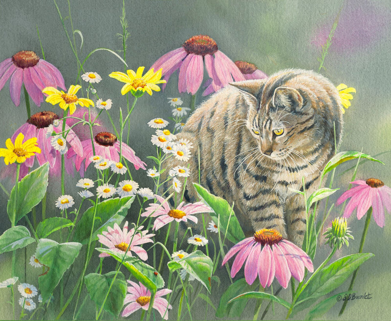 Benny in the Wildflowers by Susan Bourdet