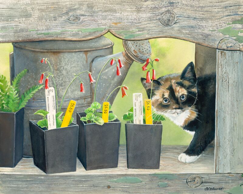 Betsy's Garden—Cat by Susan Bourdet