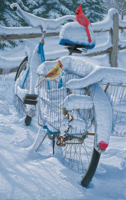 Bicycle Built For Two - Cardinals by Lee Kromschroeder