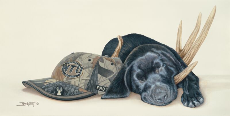Big Buck Dreamer—Black Lab Puppy by Larry Beckstein