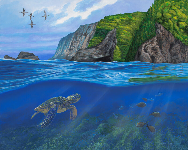 Big Island—Sea Turtle by Anthony Padgett