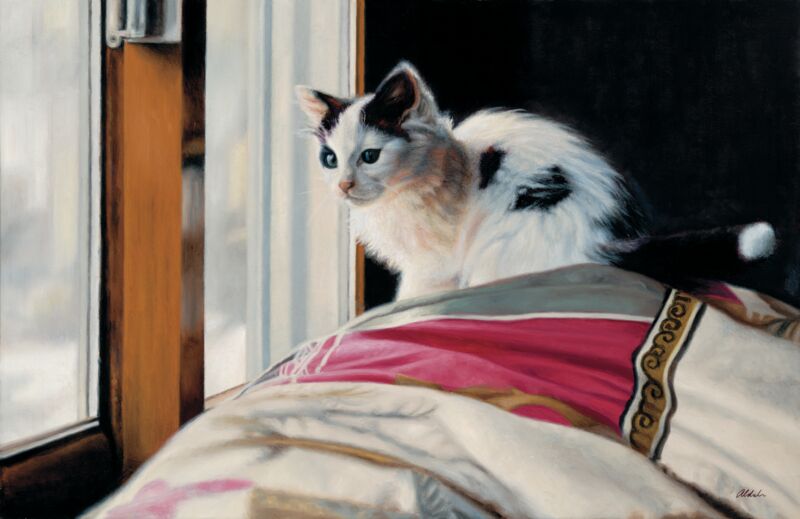 Birds!—Cat at Window by John Aldrich
