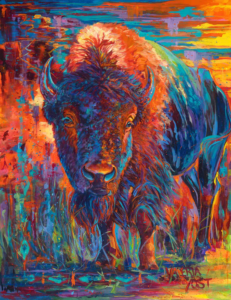 Bison