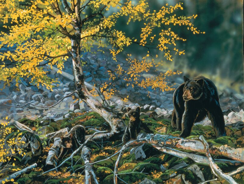 Black Bear and Cub by Janene Grende