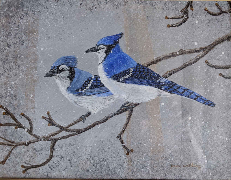 Blue Jay Couple In Snowy Tree