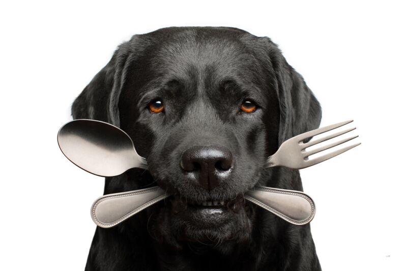 Bone Appetit by Ron Schmidt