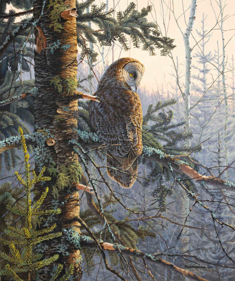 Boreal Twilight-Great Grey Owl