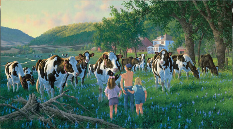 Bossie N Bluebells Cows