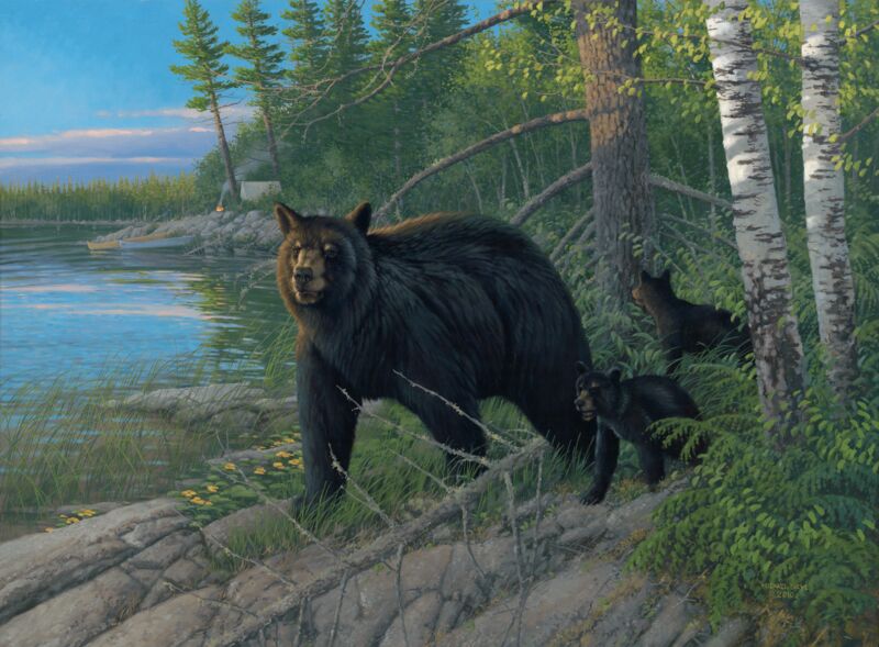 Boundary Camp—Black Bear