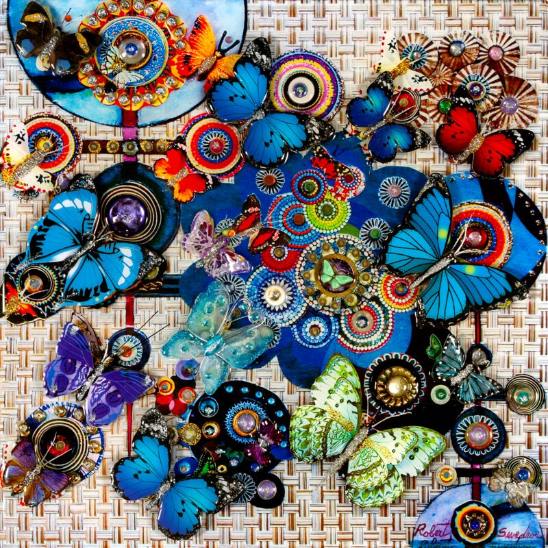 Butterfly Blues by Robert Swedroe