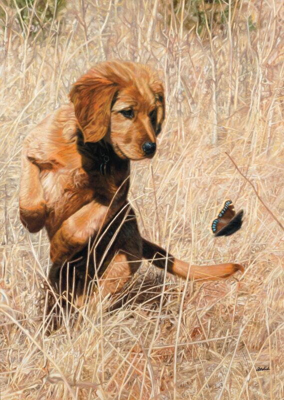 Butterfly Dance by John Aldrich