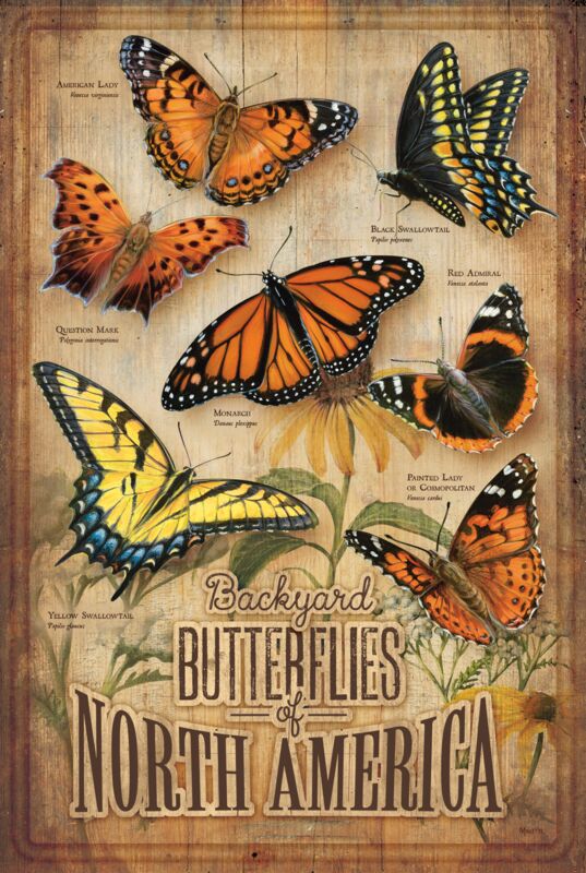Backyard Butterflies by Rosemary Millette