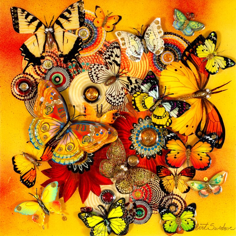 Butterfly Sunbeam by Robert Swedroe