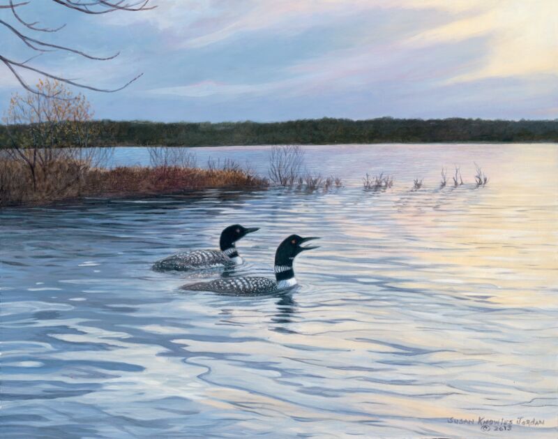 Call of the Loon by Susan Knowles-Jordan