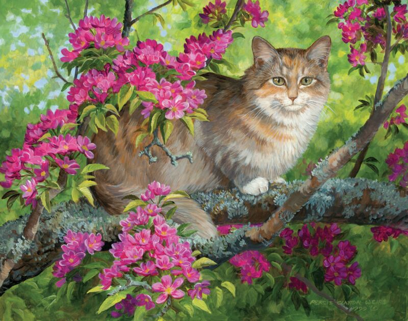 Callie—Cat by Persis Clayton Weirs