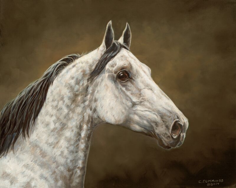 Calypso by Chris Cummings