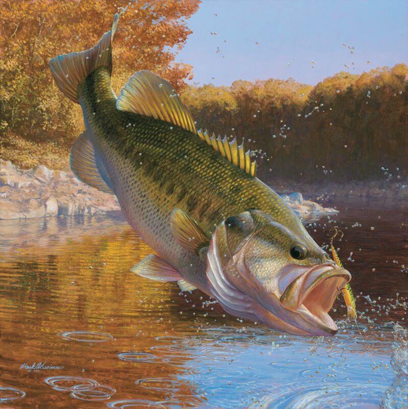 Cartwheeling - Largemouth Bass by Mark A Susinno