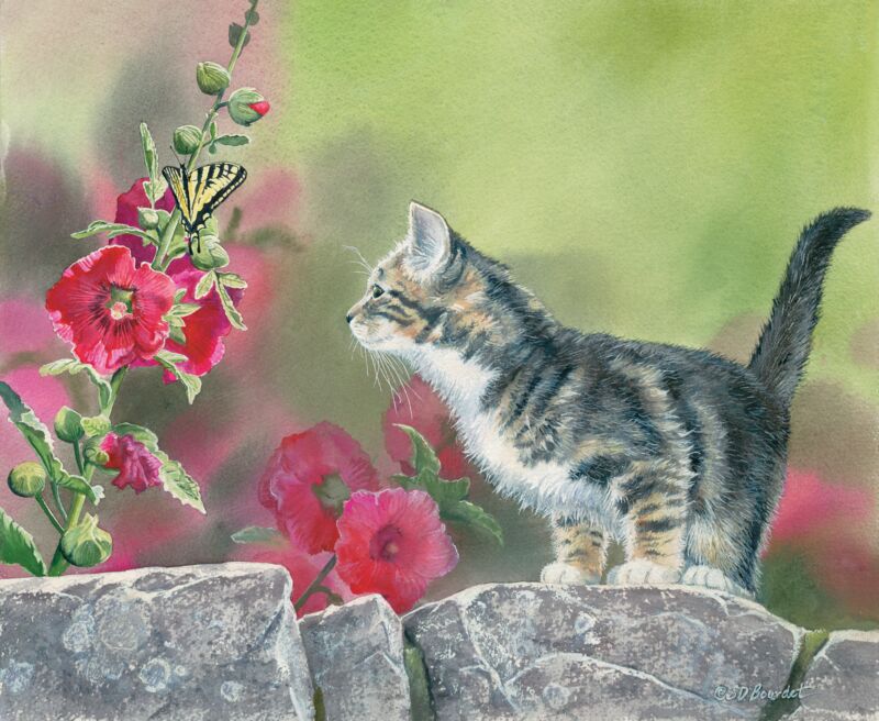 Chasing Butterflies by Susan Bourdet