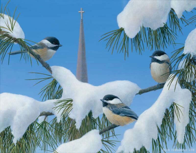 Chickadee Congregation by John Hardginski