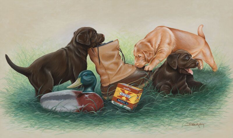 Chocolate and Vanilla—Labs by Larry Beckstein