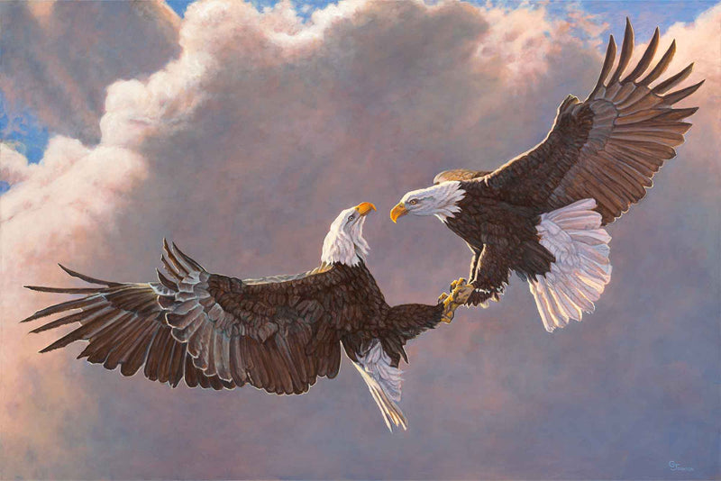 Clash Of The Titans-Bald Eagles by Gary Johnson