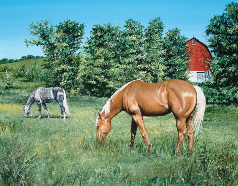 Close to Home—Horses by Rollie Brandt