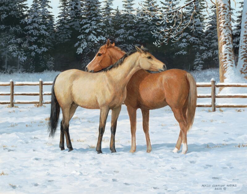 Cold Comforts—Horses by Persis Clayton Weirs