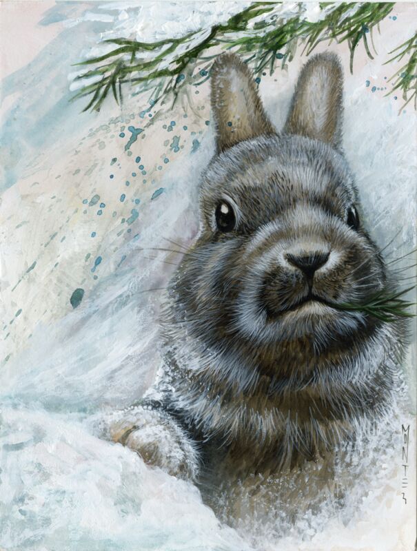 Cold Lunch by Monte Moore